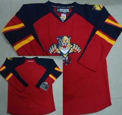 Men Florida Panthers Customized Red Stitched Hockey Jersey