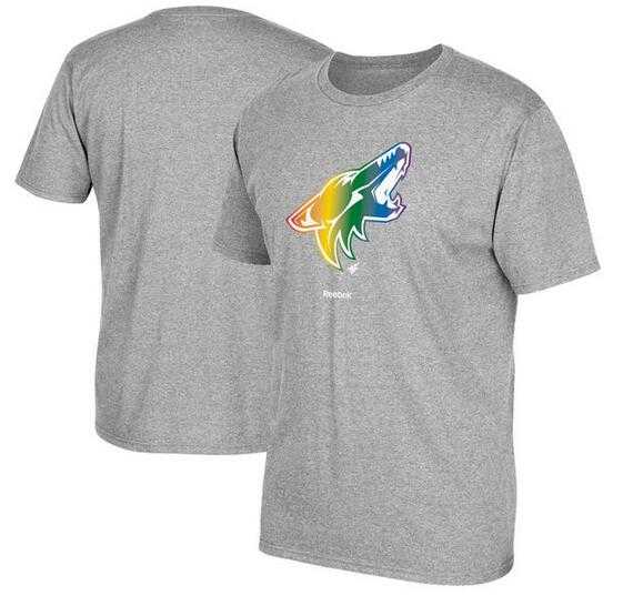 Men's Phoenix Coyotes Gray Reebok Rainbow Pride Short Sleeve T-Shirt FengYun
