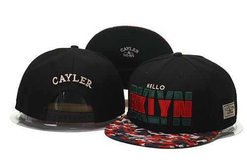 Cayler-Sons Fashion Snapback Hat GS (15)