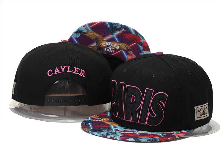 Cayler-Sons Fashion Snapback Hat GS (18)