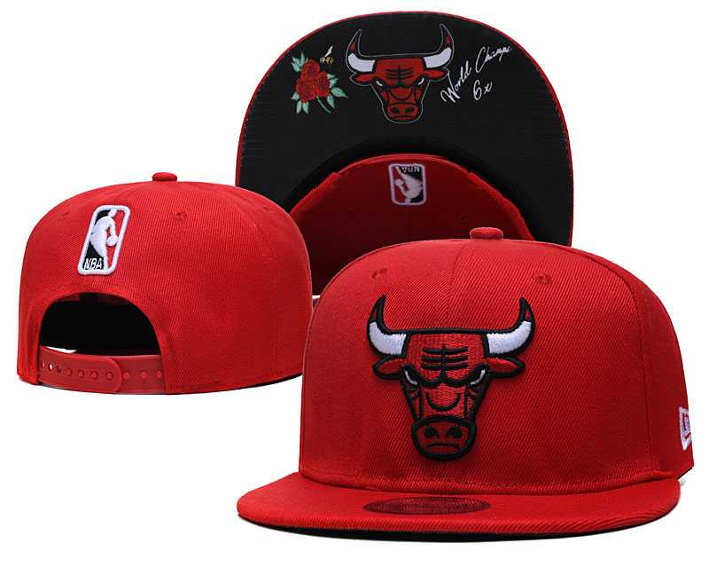Chicago Bulls Team Logo Adjustable Hat GS (6)