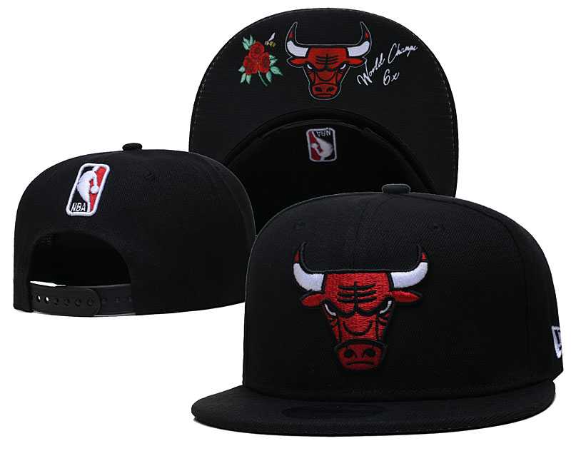 Chicago Bulls Team Logo Adjustable Hat GS (8)