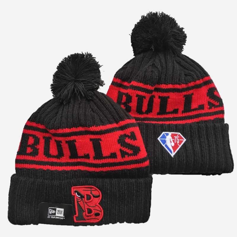 Chicago Bulls Team Logo Knit Hat YD (8)