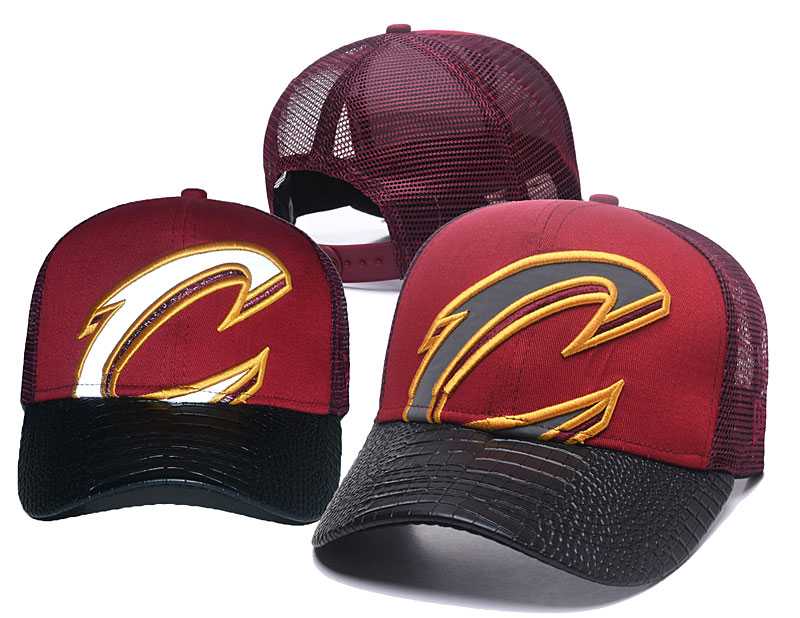 Cleveland Cavaliers Team Logo Adjustable Hat GS (32)