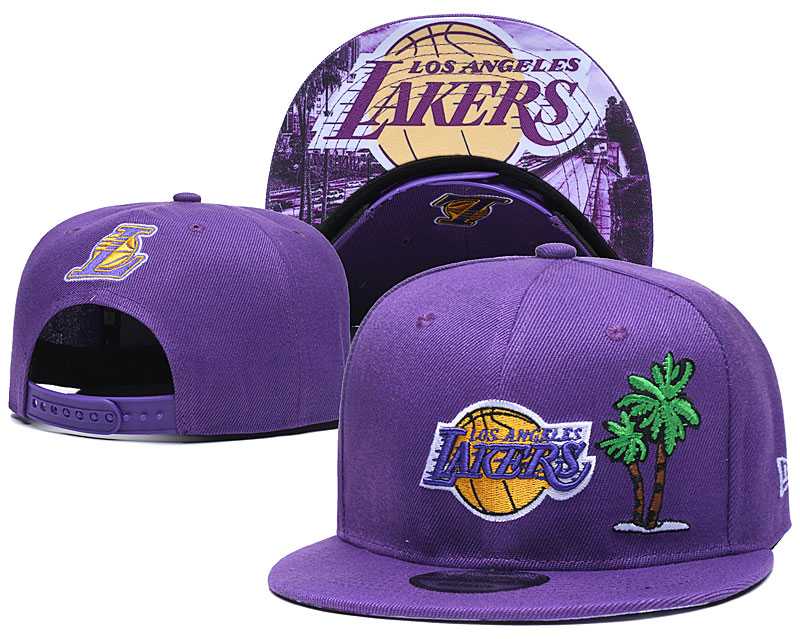 Los Angeles Lakers Team Logo Adjustable Hat YD (11)
