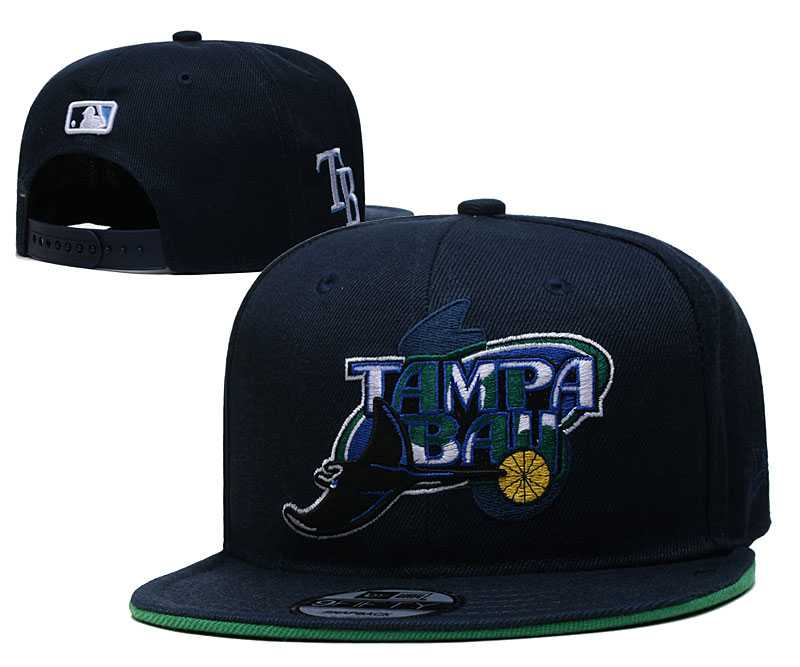Tampa Bay Rays Team Logo Adjustable Hat YD (1)