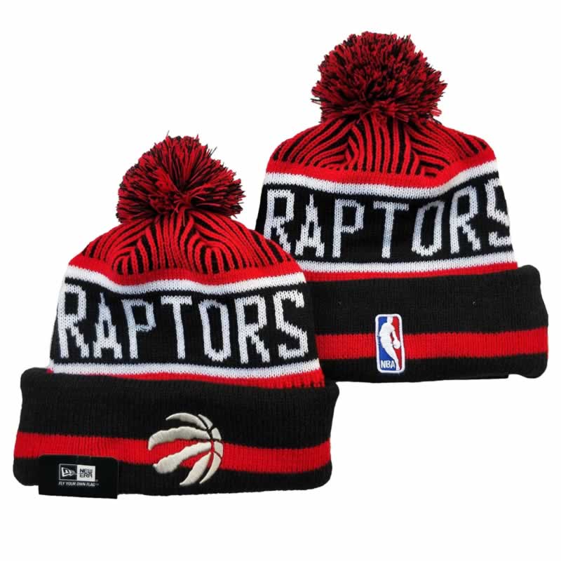 Toronto Raptors Team Logo Knit Hat YD (2)