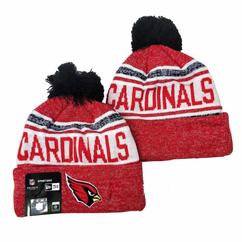 Arizona Cardinals Team Logo Knit Hat YD (4)