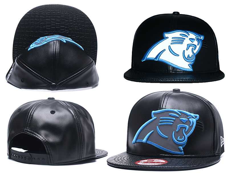 Carolina Panthers Team Logo Adjustable Hat GS (13)