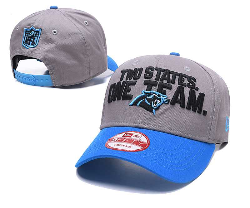 Carolina Panthers Team Logo Adjustable Hat GS (14)