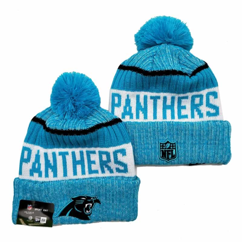 Carolina Panthers Team Logo Knit Hat YD (11)
