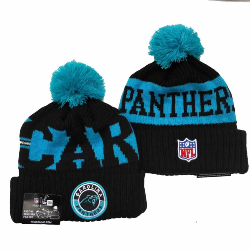 Carolina Panthers Team Logo Knit Hat YD (14)