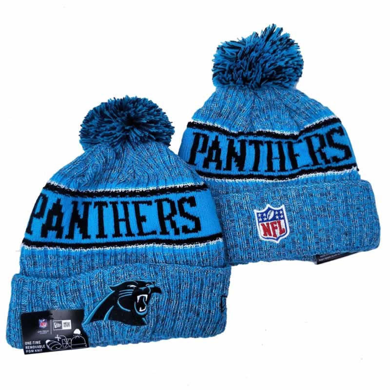 Carolina Panthers Team Logo Knit Hat YD (4)