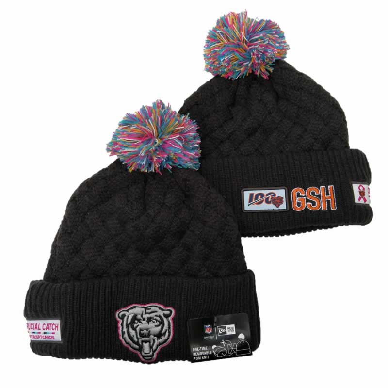Chicago Bears Team Logo Knit Hat YD (13)