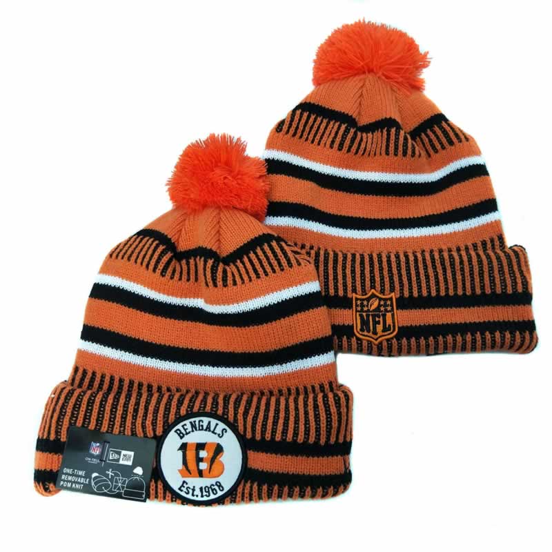 Cincinnati Bengals Team Logo Knit Hat YD (8)