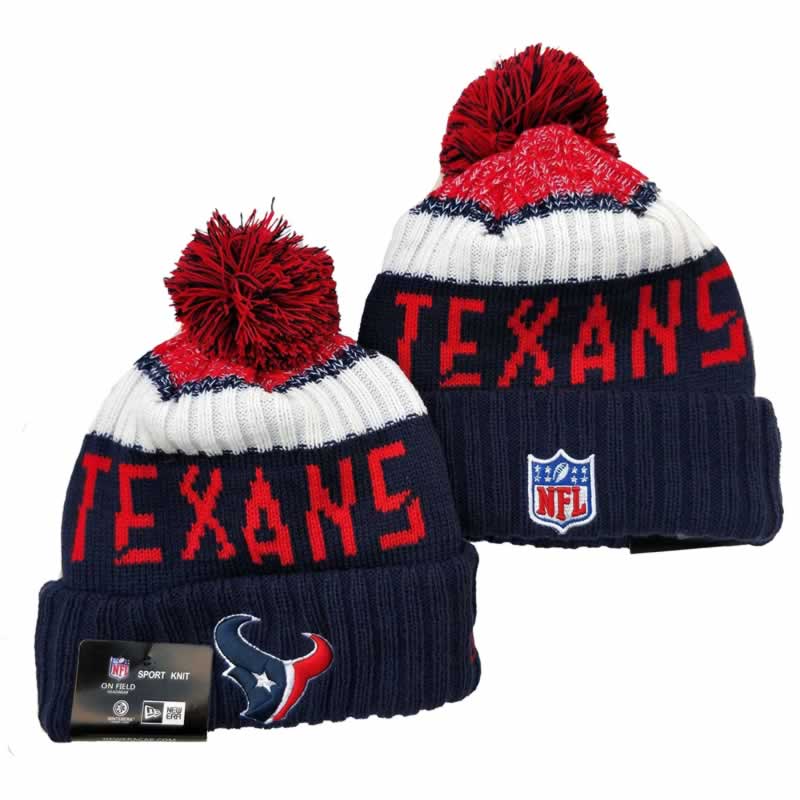 Houston Texans Team Logo Knit Hat YD (12)
