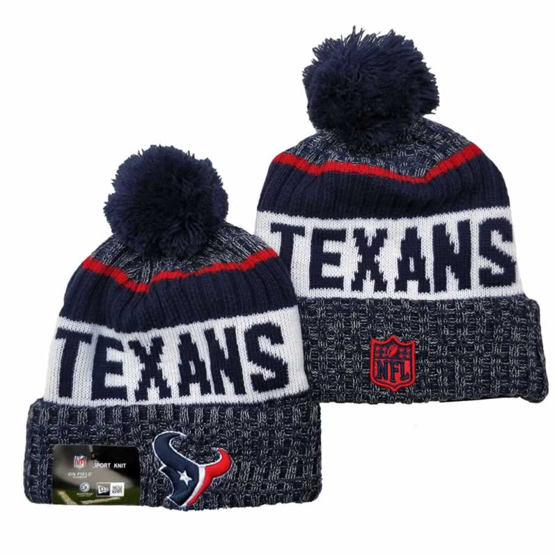 Houston Texans Team Logo Knit Hat YD (13)