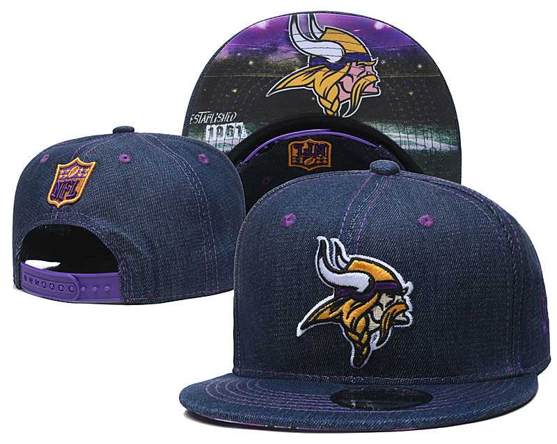 Minnesota Vikings Team Logo Adjustable Hat YD (9)