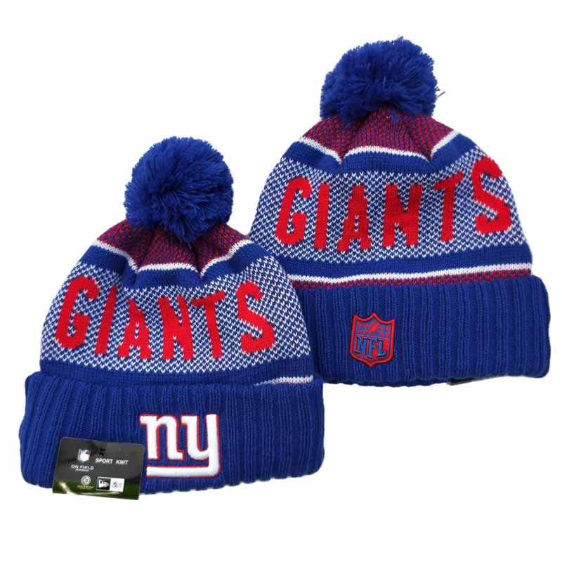 New York Giants Team Logo Knit Hat YD (12)