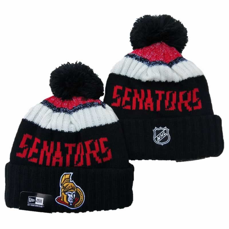 Ottawa Senators Team Logo Knit Hat YD