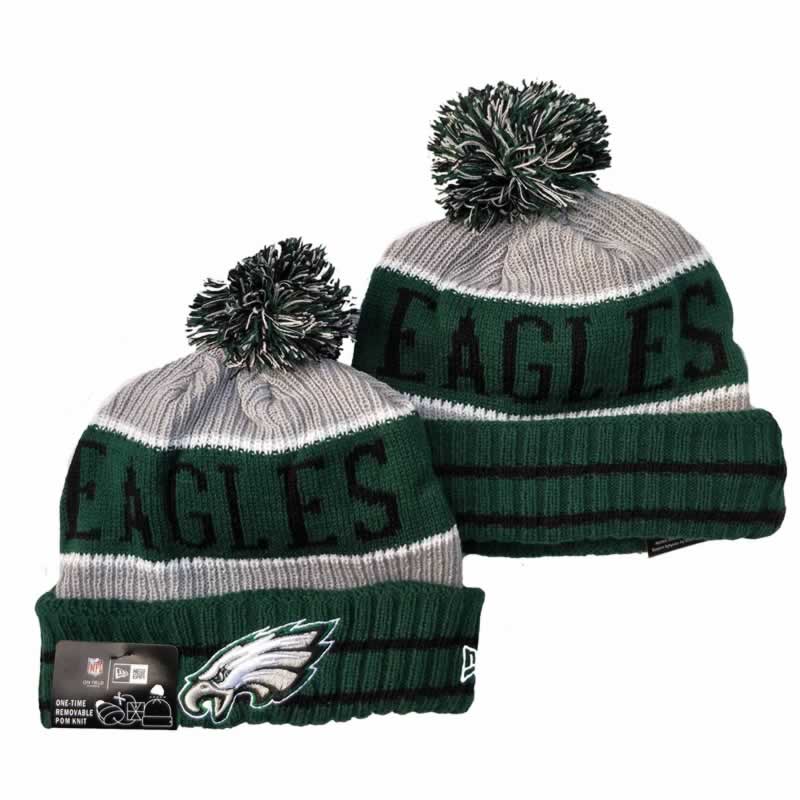 Philadelphia Eagles Team Logo Knit Hat YD (1)