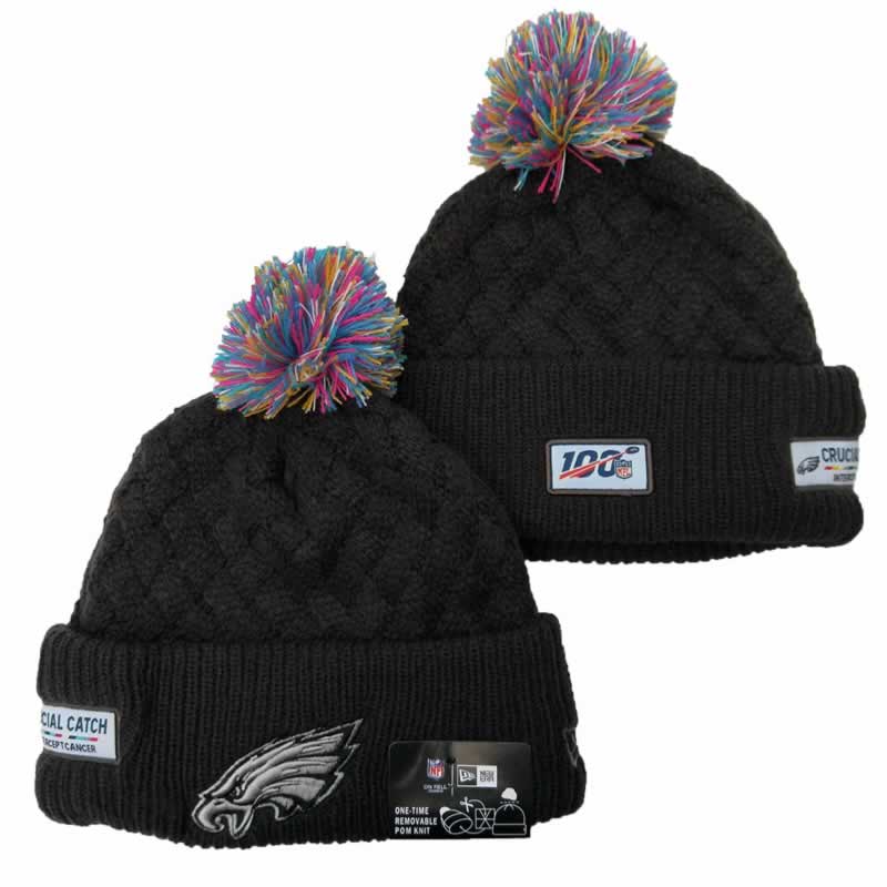 Philadelphia Eagles Team Logo Knit Hat YD (11)