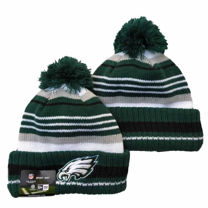 Philadelphia Eagles Team Logo Knit Hat YD (19)